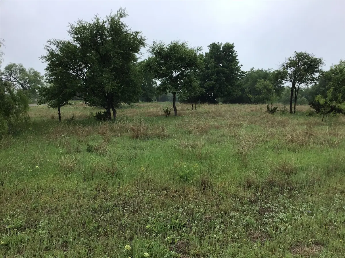 42122 Crooked Stick Drive, Whitney, TX 76692 - #1