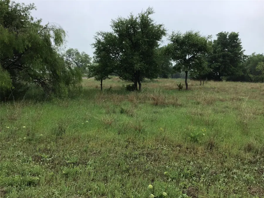 42122 Crooked Stick Drive, Whitney, TX 76692 - #2