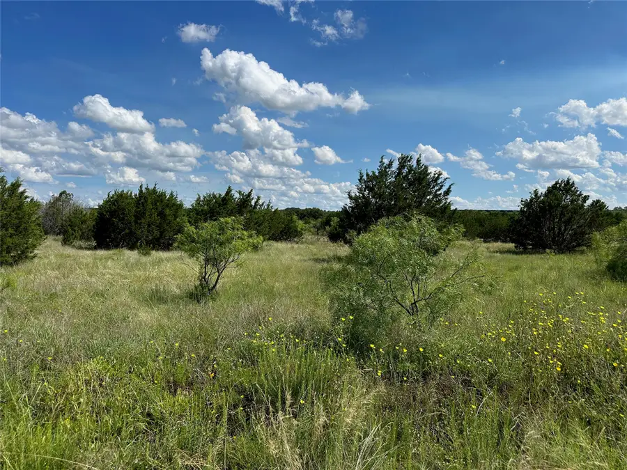 102 Sean Lane, Bangs, TX 76823 - #3