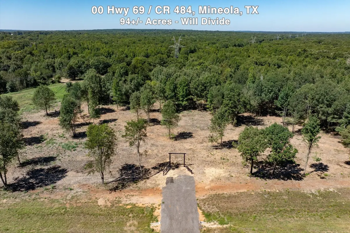 00 Hwy 69 / Cr 484, Mineola, TX 75773 - #1