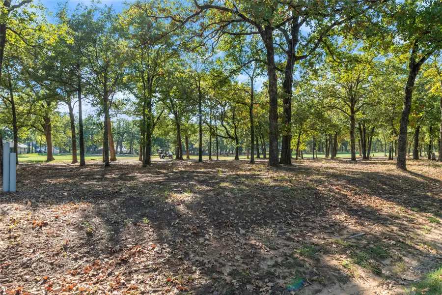 223 Colonial Drive, Mabank, TX 75156 - #2