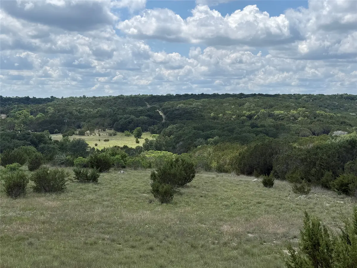 10151 Horizon View, Tolar, TX 76476 - #1