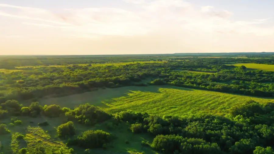 1343 County Road 188, Cross Plains, TX 76443 - #2