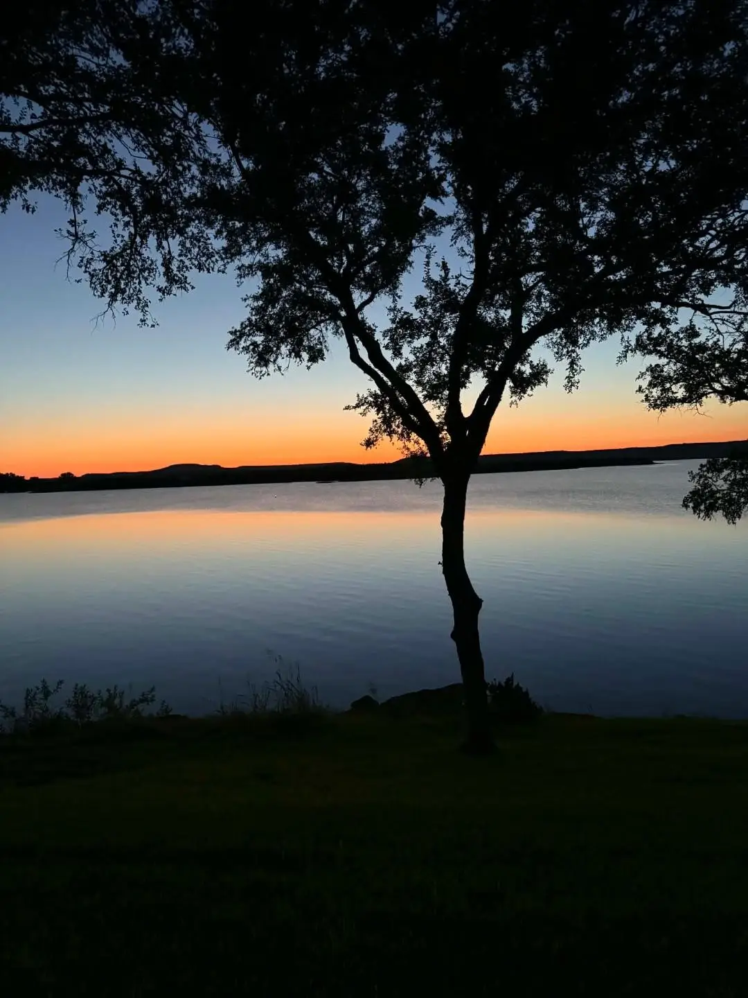 1655 Cedar Crest Loop #A8, Graford, TX 76449 - #1