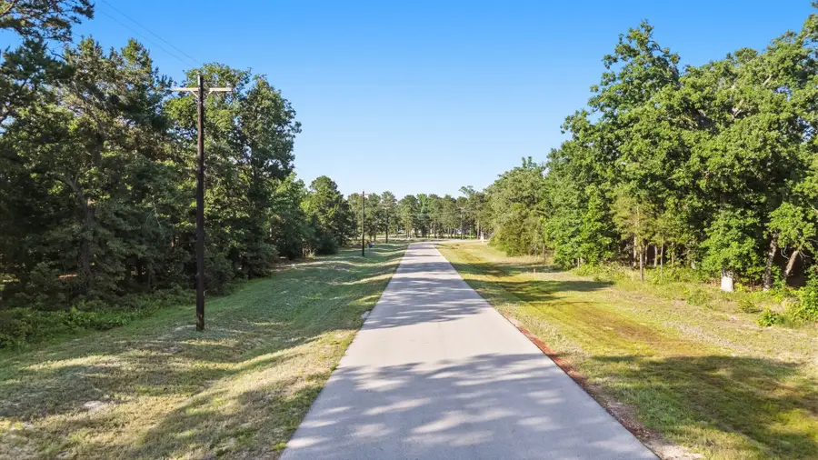 3132 Shadow Pine Drive, Larue, TX 75770 - #3