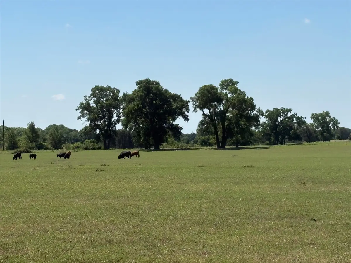 2966 Highway 679, Gorman, TX 76454 - #1