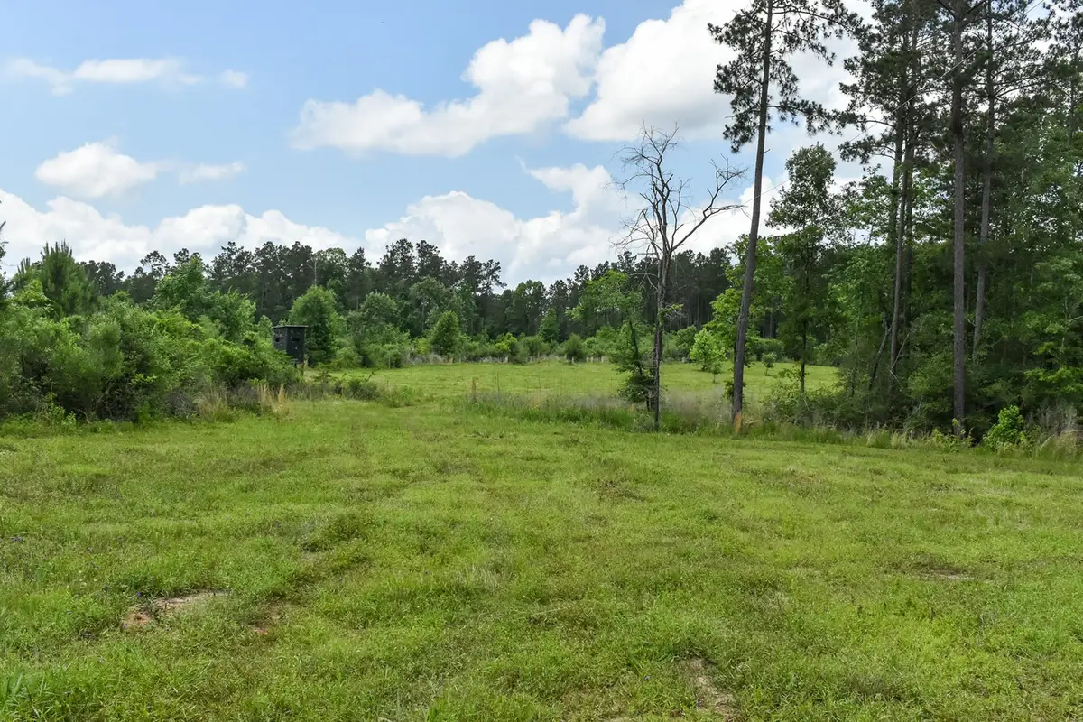 0 Oakdale Loop, Livingston, TX 77351 - #1