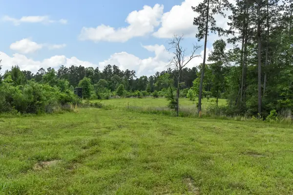 0 Oakdale Loop, Livingston, TX 77351