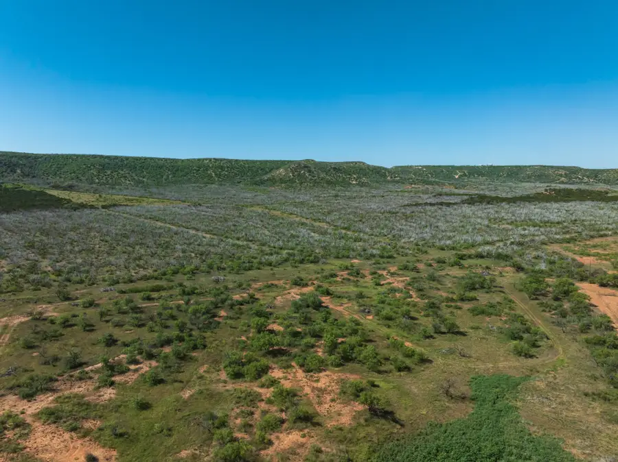 439 County Road 321, Abilene, TX 79606 - #3
