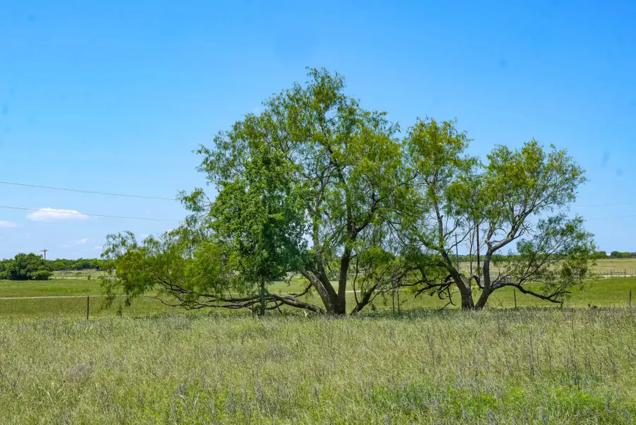 20.92 Acres Hwy 281, Jacksboro, TX 76458 - #3