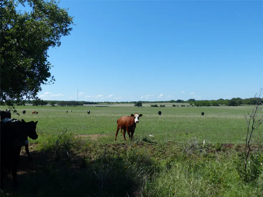 1825 Fm 1028, Rochelle, TX 76872 - #2