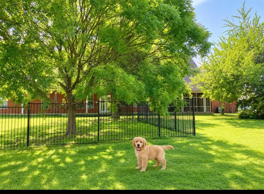 2638 Fm 549, Rockwall, TX 75032 - #2