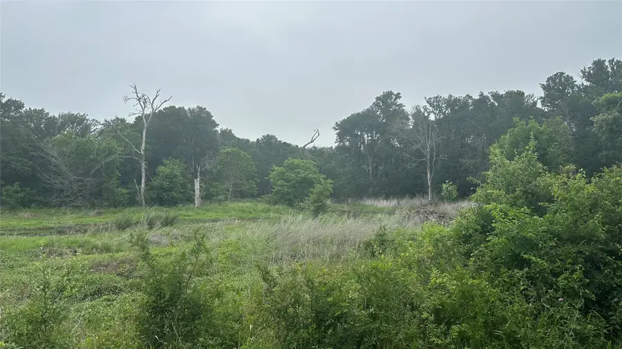 TBD Hwy 84 W, Mexia, TX 76667 - #3