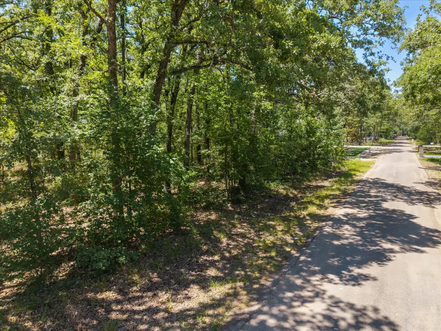 Lot 264 Beachwood Loop, Trinidad, TX 75163 - #3