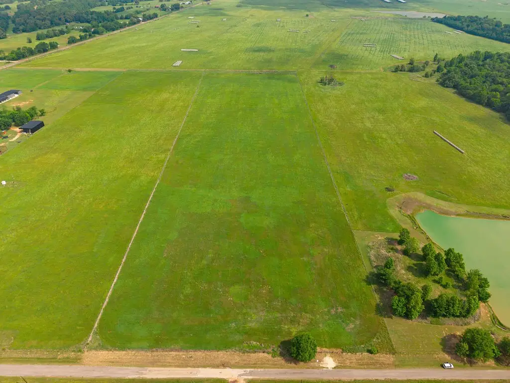 269 Vz County Road 4305, Ben Wheeler, TX 75754 - #1
