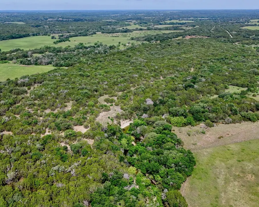 TBD Mustang, Purmela, TX 76566 - #2