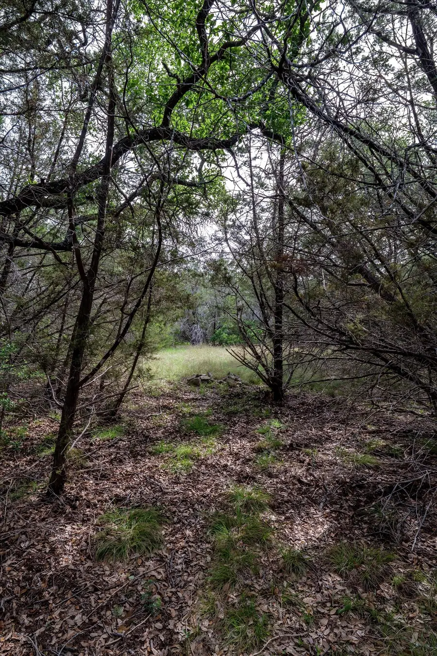 TBD Mustang-a Road, Purmela, TX 76566 - #3