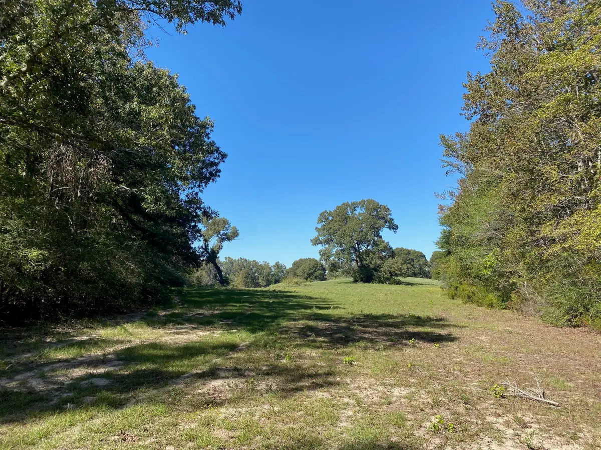 TBD 006 County Road 242, Oakwood, TX 75855 - #1