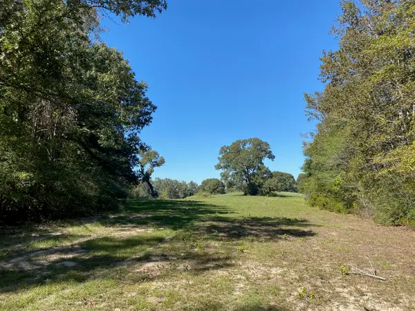 TBD 006 County Road 242, Oakwood, TX 75855