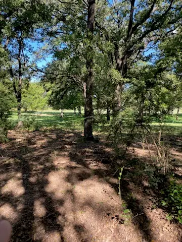 8601 Lowery Road, Fort Worth, TX 76120 - #2