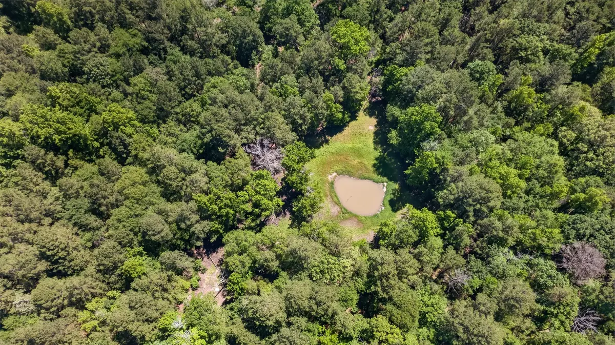 0 Anderson County Road 359 (off), Palestine, TX 75801 - #1