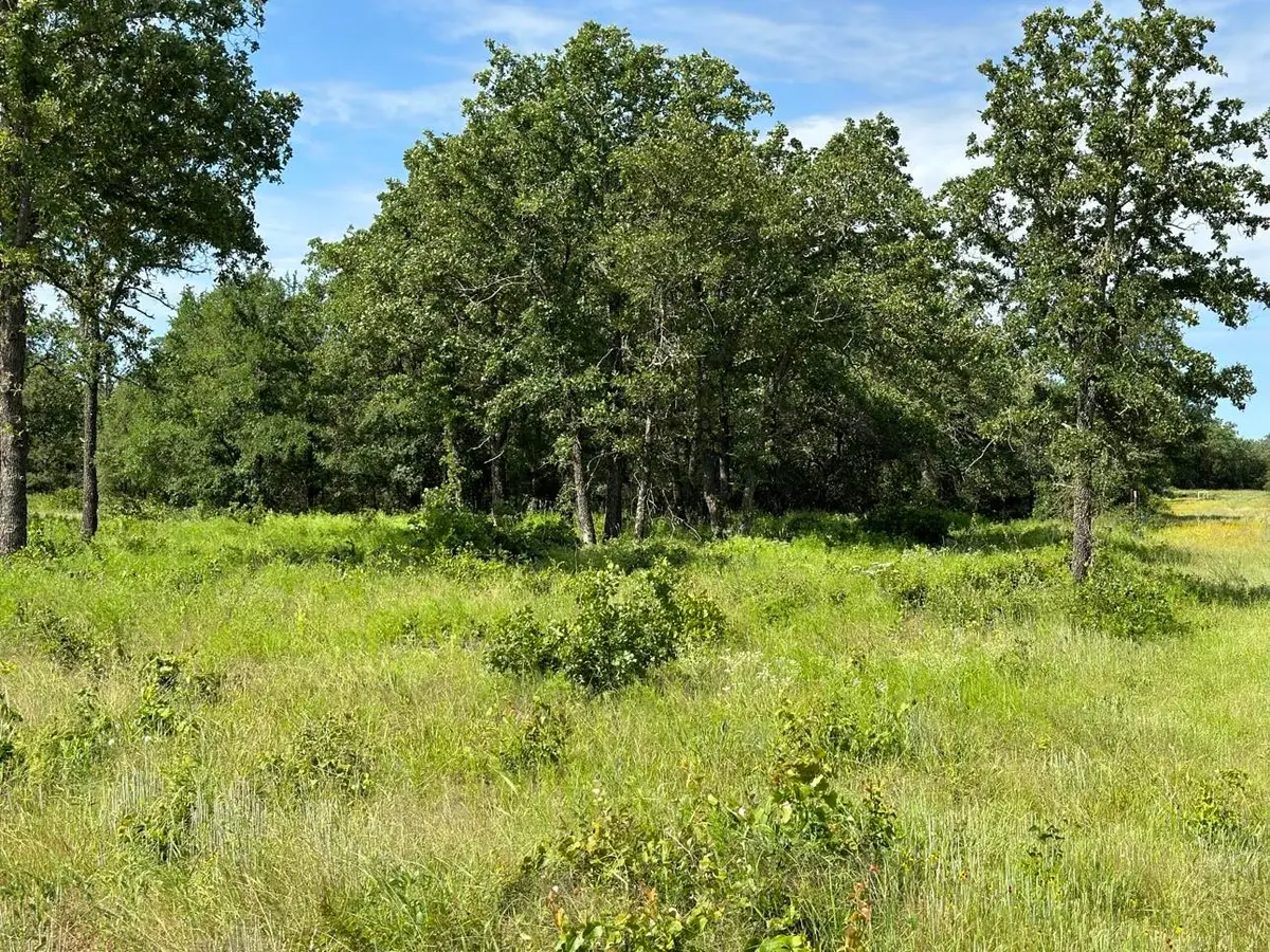 Lot 79 Paradise Oaks, Perrin, TX 76486 - #1