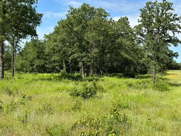 Lot 79 Paradise Oaks, Perrin, TX 76486