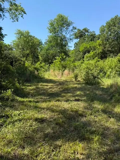 0 Forrester Street, Greenville, TX 75401