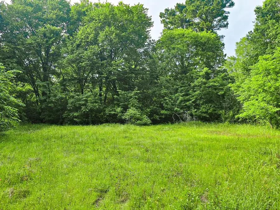 0 TBD W Cathy Street, Lone Star, TX 75668 - #3