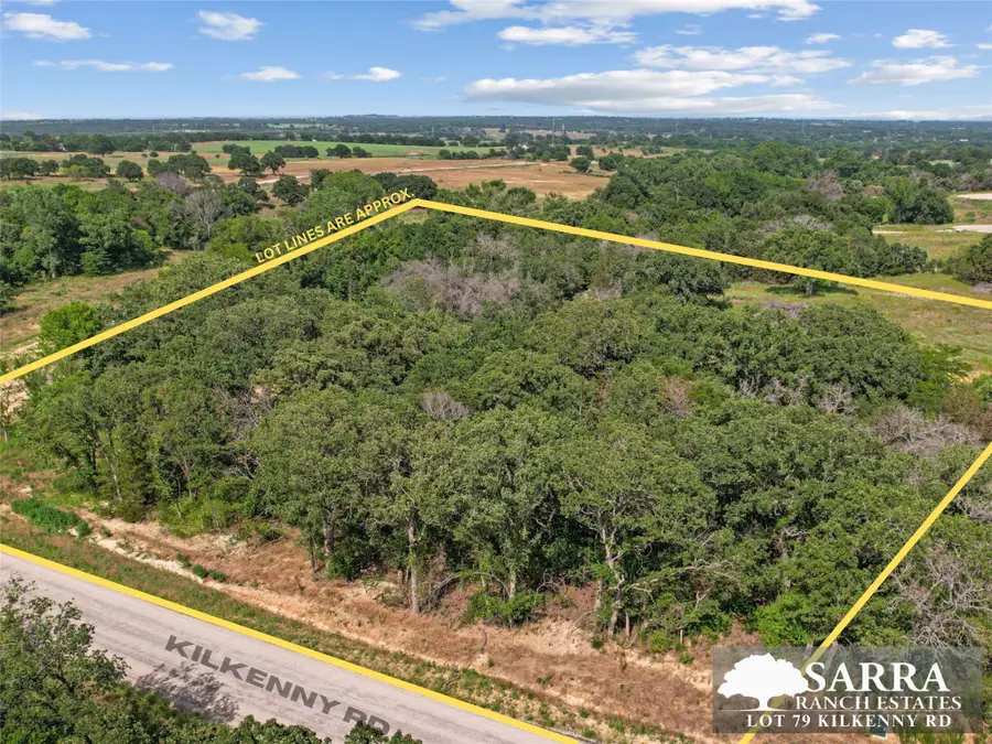 Lot 79 Kilkenney Road, Poolville, TX 76487 - #2