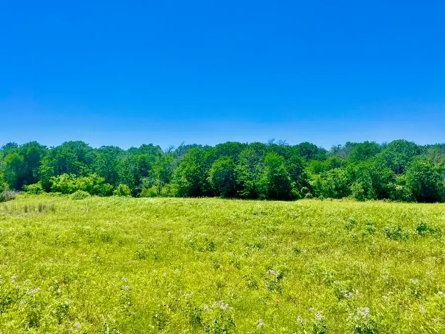 Lot 19 Kilkenny Rd, Poolville, TX 76487 - #2