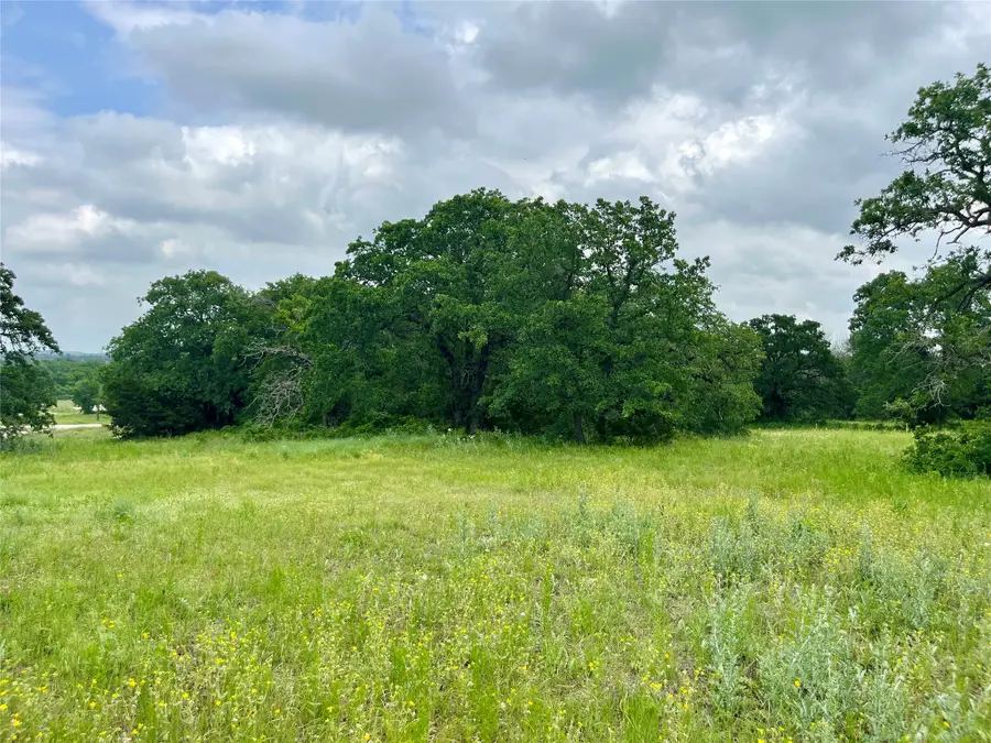 Lot 13 Arlow Rd, Poolville, TX 76487 - #3