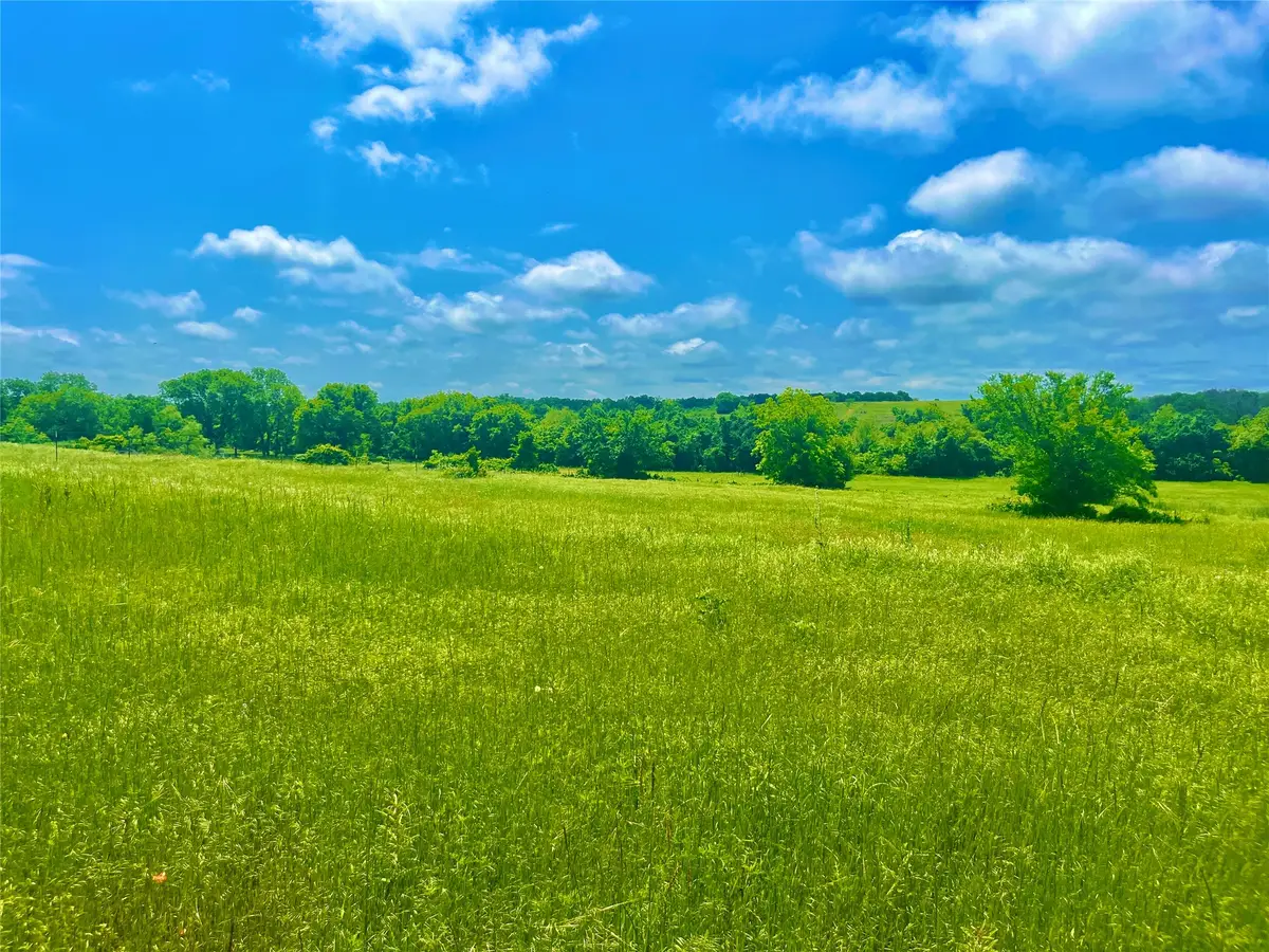 Lot 3 Clare Rd, Poolville, TX 76487 - #1