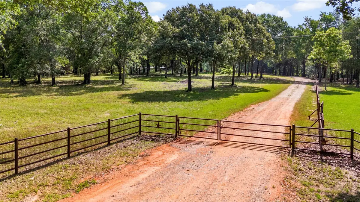 000 Vz County Road 4505, Ben Wheeler, TX 75754 - #1