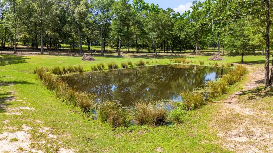 000 Vz County Road 4505, Ben Wheeler, TX 75754 - #3
