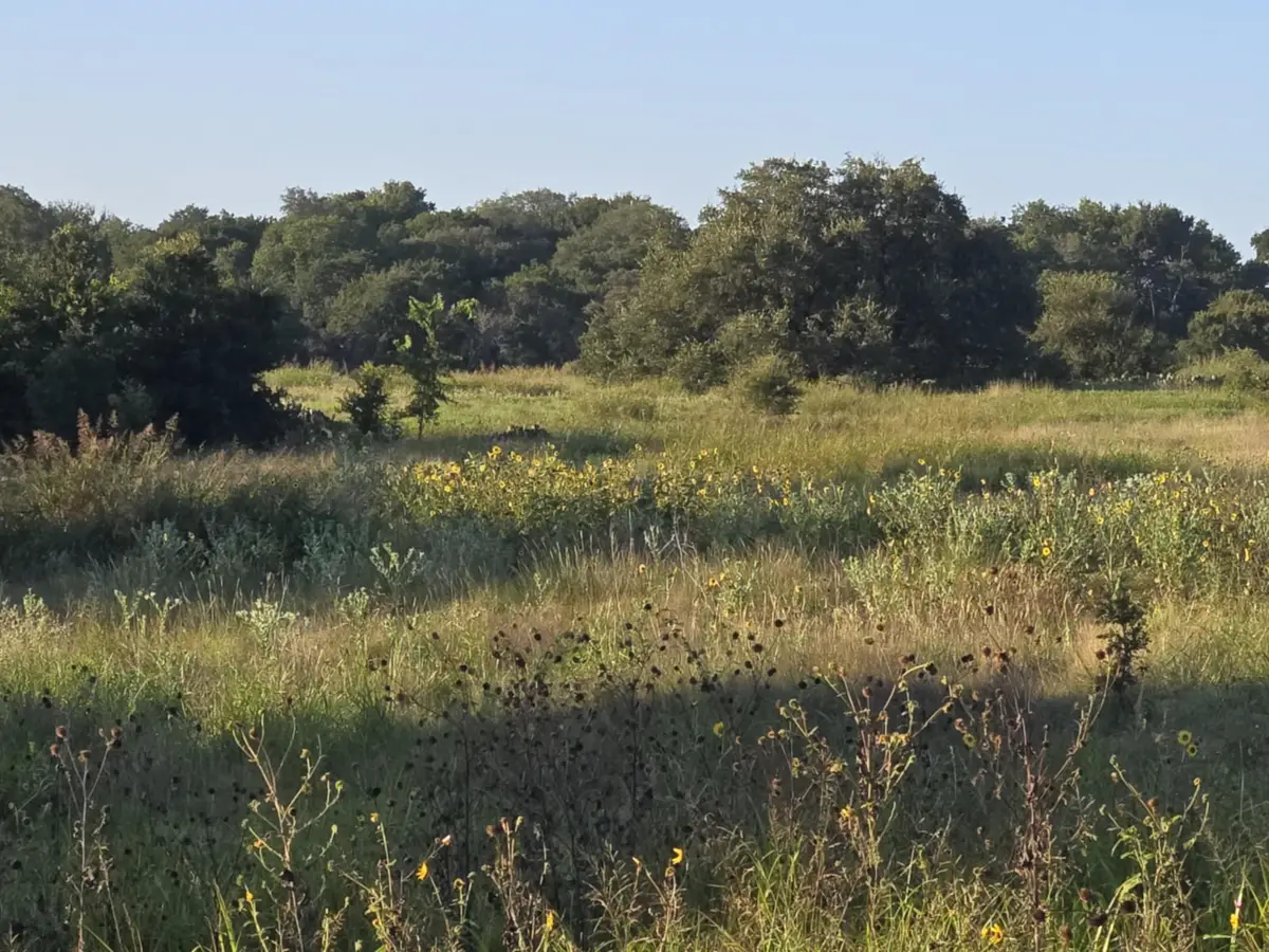 165 Guadalupe Drive, Oglesby, TX 76561 - #1