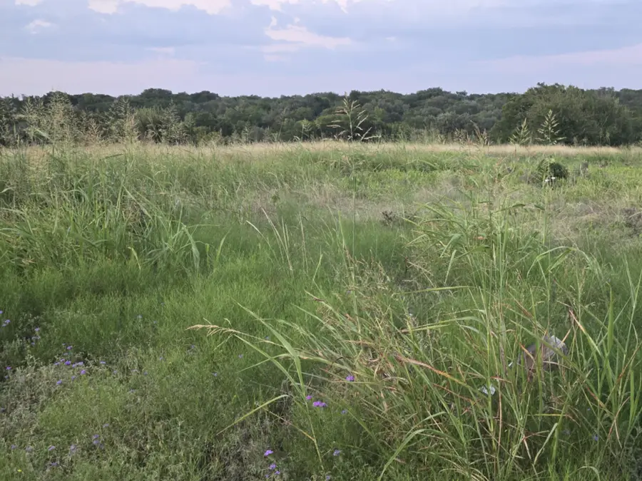 165 Guadalupe Drive, Oglesby, TX 76561 - #2