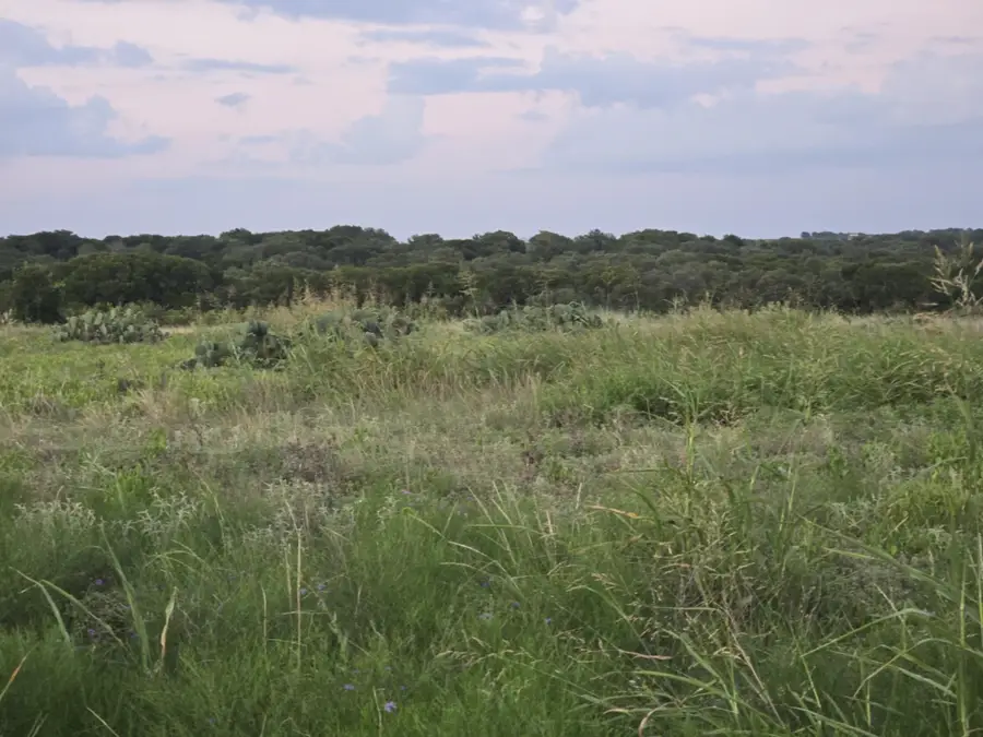 165 Guadalupe Drive, Oglesby, TX 76561 - #3