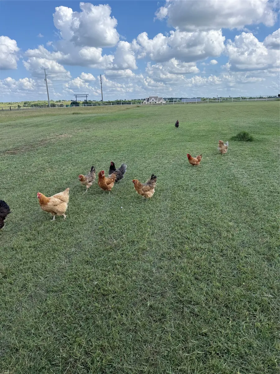 12102 Cedar Rock Parkway, Crawford, TX 76638 - #2