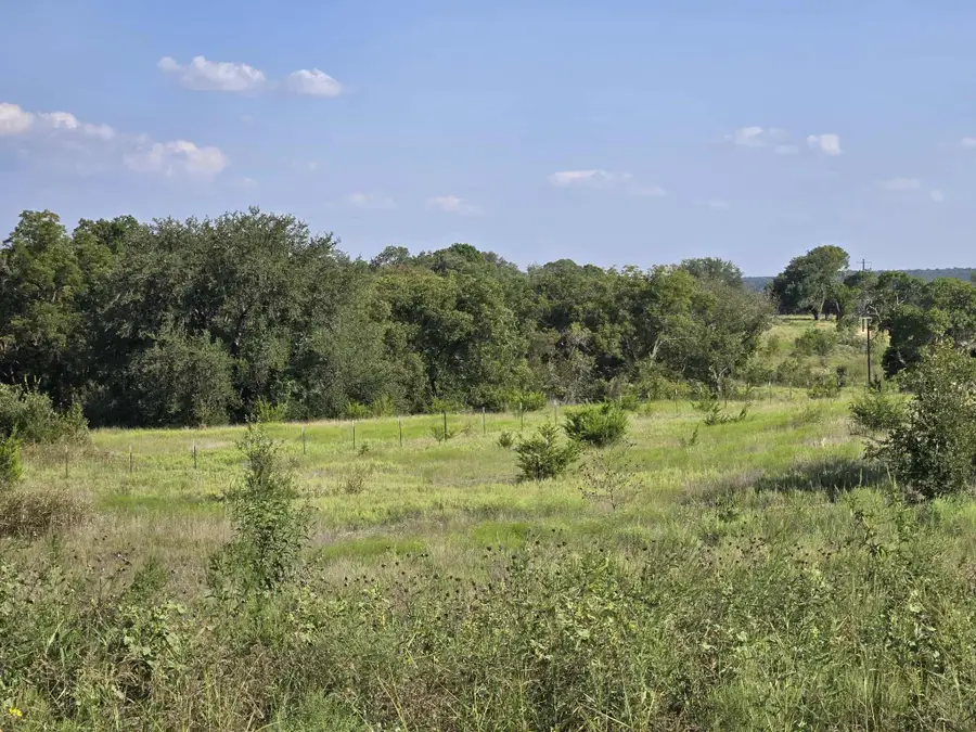 TBD Big Bend Drive, Oglesby, TX 76561 - #3