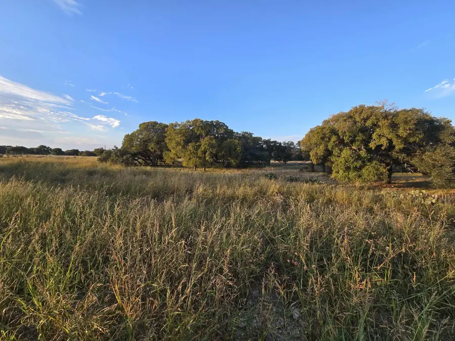 317 Yellowstone Drive, Oglesby, TX 76561 - #3