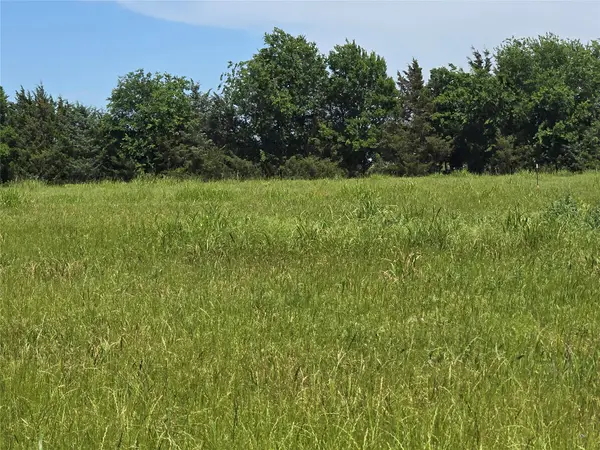 TBD County Road 1039, Blue Ridge, TX 75424