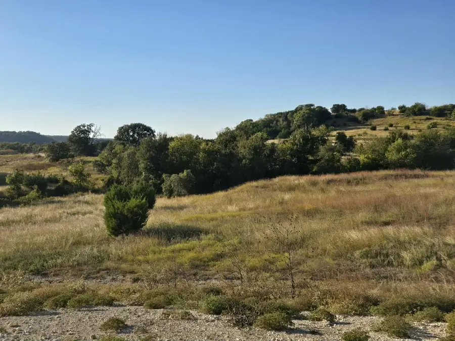 229 Grand Canyon Drive, Oglesby, TX 76561 - #2