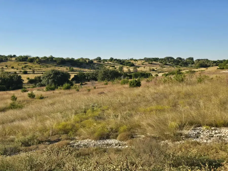 229 Grand Canyon Drive, Oglesby, TX 76561 - #3