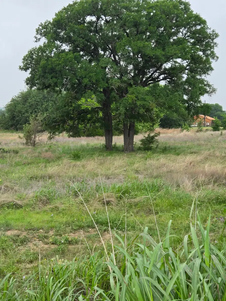 TBD Yosemite Drive, Oglesby, TX 76561 - #2