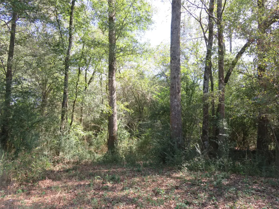 21471 N Fm 95, Garrison, TX 75946 - #3