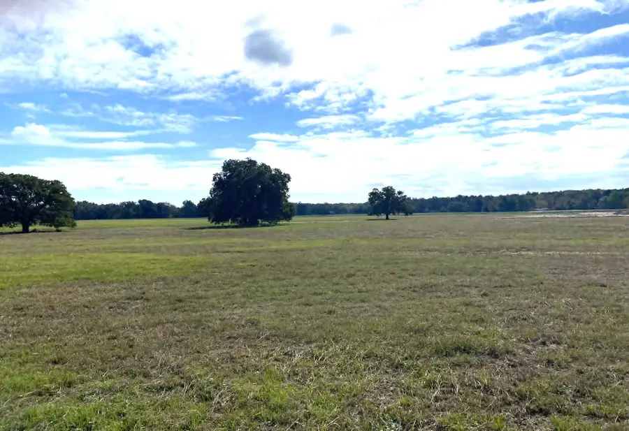 287 County Road 269, Kosse, TX 76653 - #3
