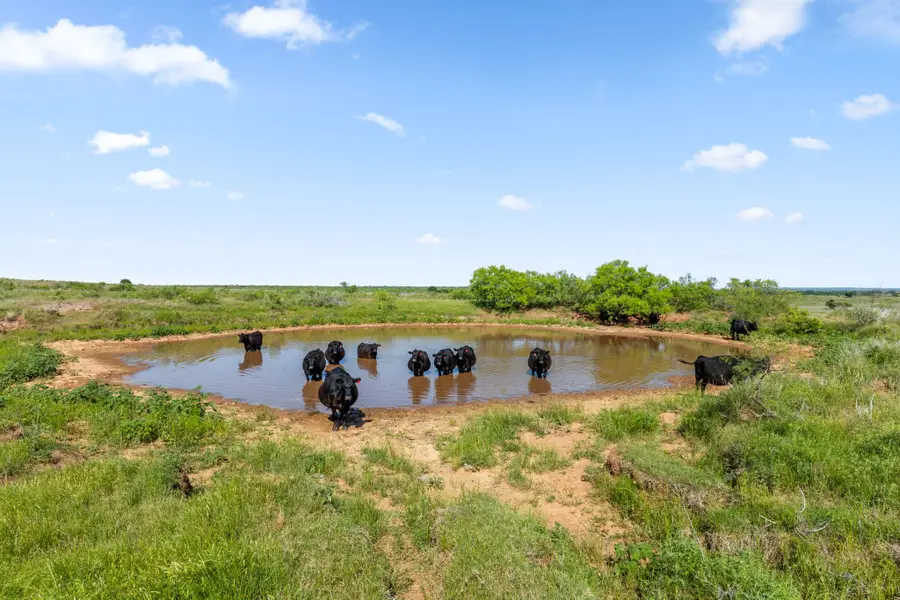 TBD Dutton, Ringgold, TX 76261 - #3