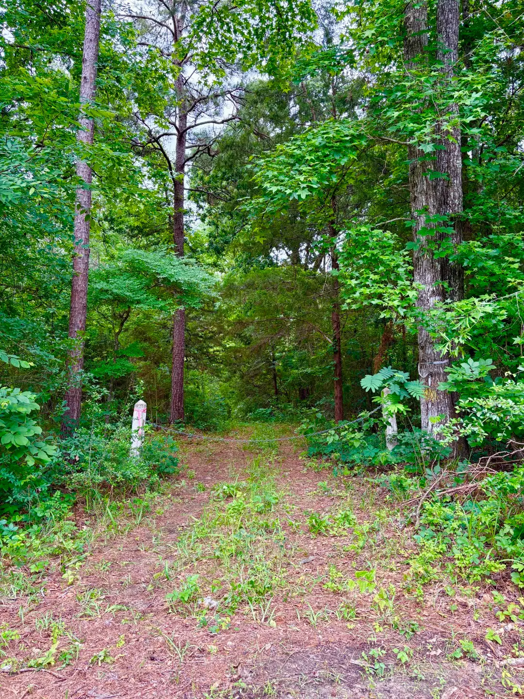 TBD County Road 4504, Jacksonville, TX 75766 - #1