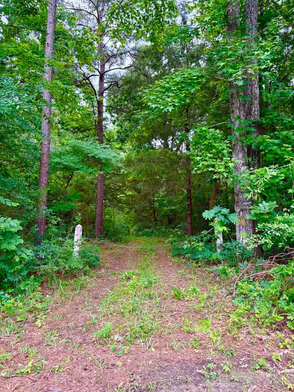 TBD County Road 4504, Jacksonville, TX 75766